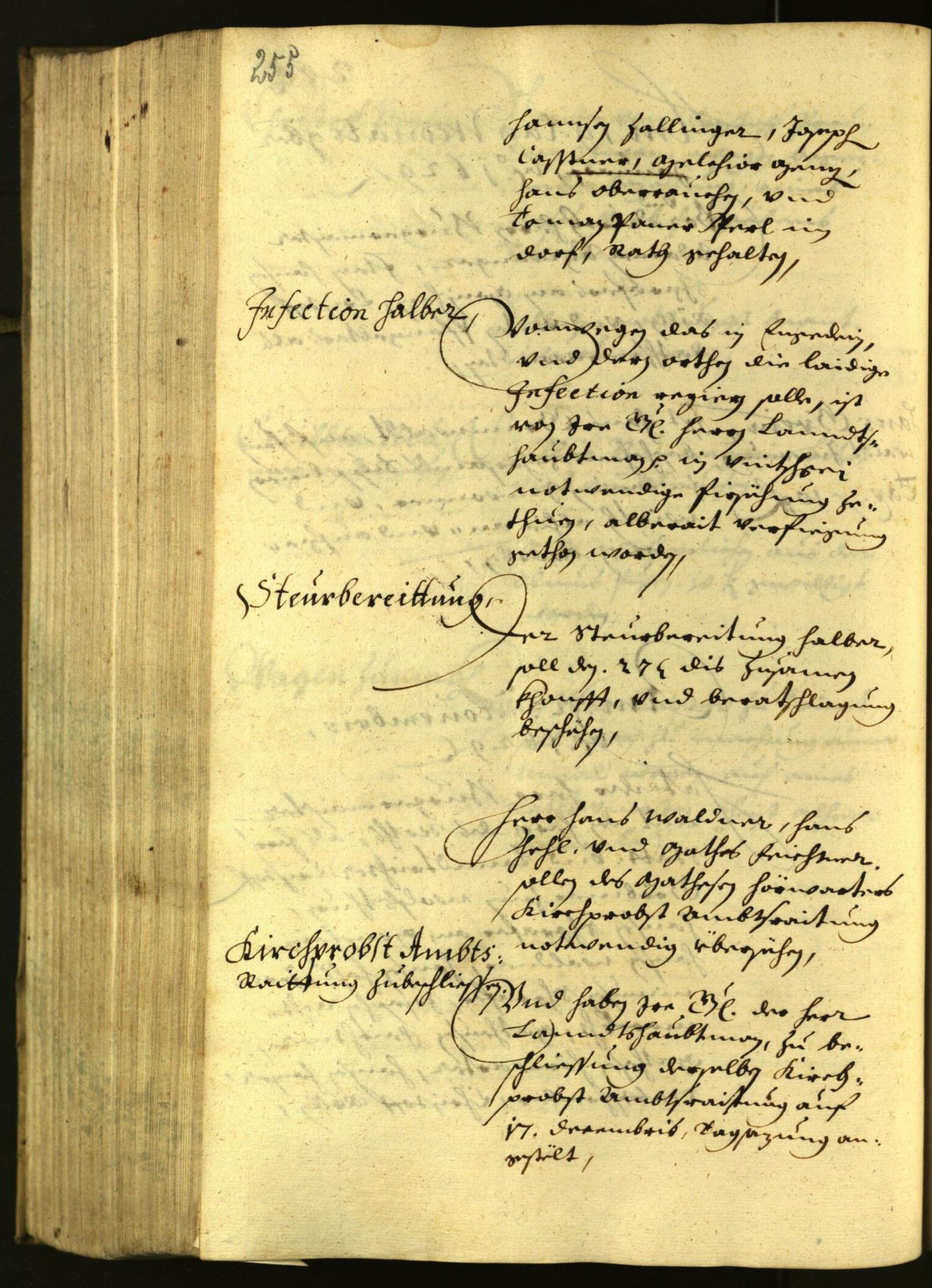 Civic Archives of Bozen-Bolzano - BOhisto Minutes of the council 1629 