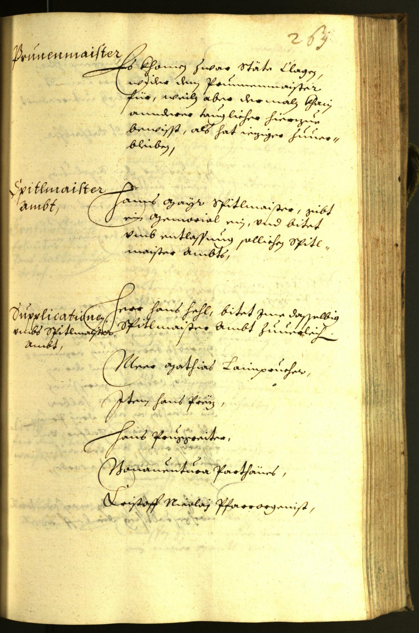 Civic Archives of Bozen-Bolzano - BOhisto Minutes of the council 1629 