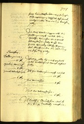 Civic Archives of Bozen-Bolzano - BOhisto Minutes of the council 1629 - 