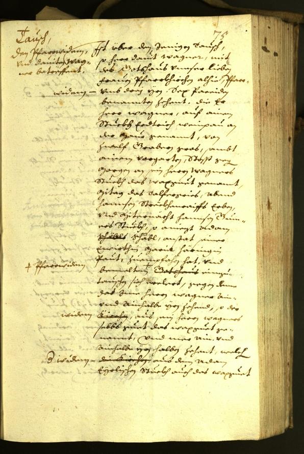 Civic Archives of Bozen-Bolzano - BOhisto Minutes of the council 1630 