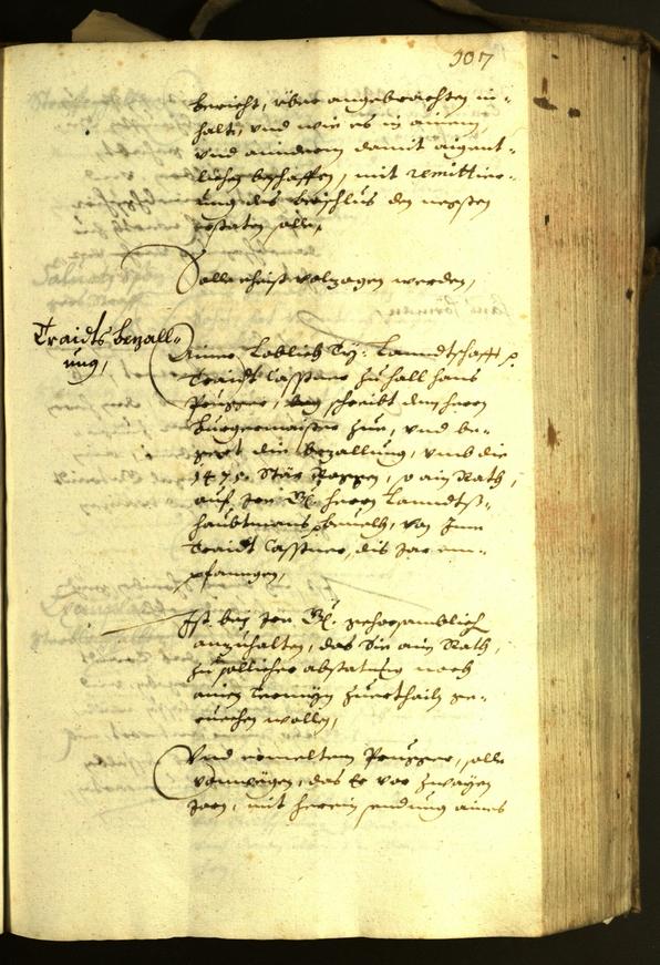 Civic Archives of Bozen-Bolzano - BOhisto Minutes of the council 1630 