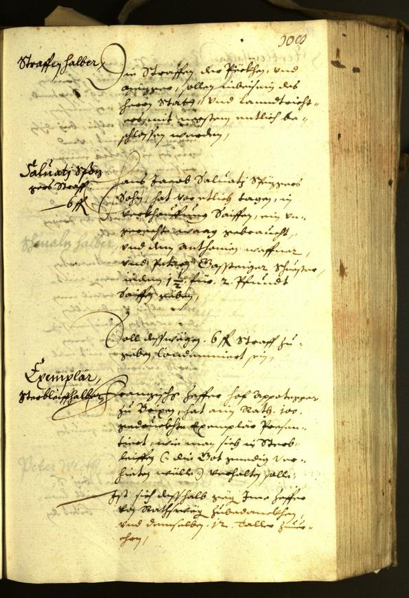 Archivio Storico della Città di Bolzano - BOhisto protocollo consiliare 1630 