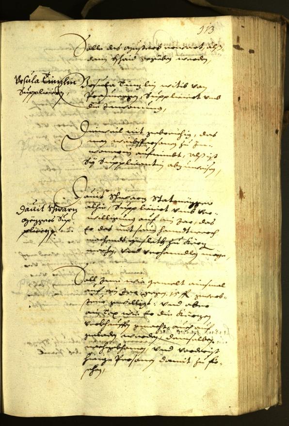 Civic Archives of Bozen-Bolzano - BOhisto Minutes of the council 1630 