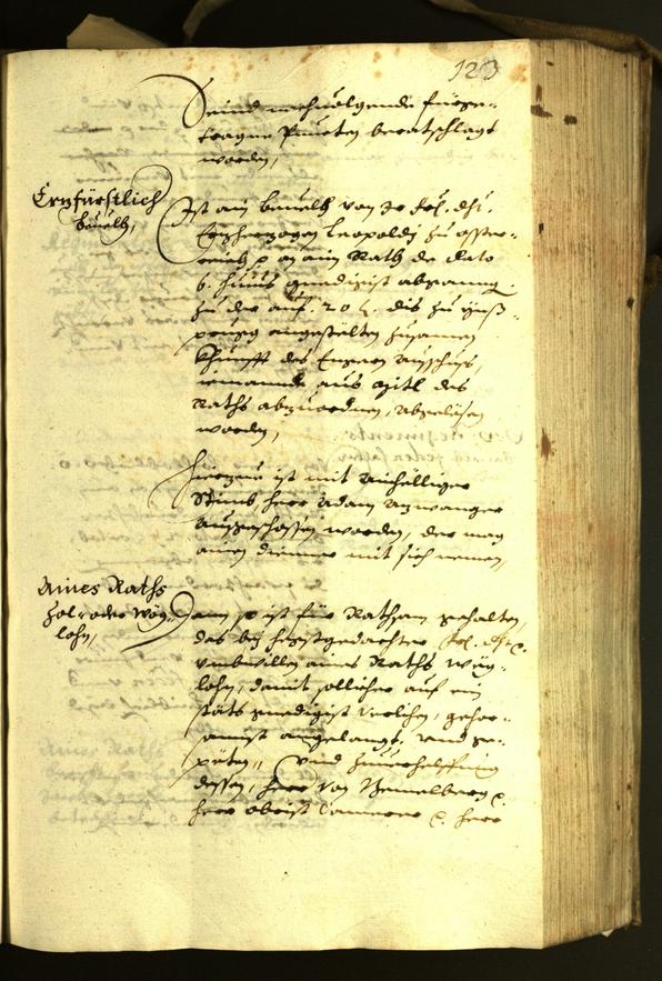 Civic Archives of Bozen-Bolzano - BOhisto Minutes of the council 1630 