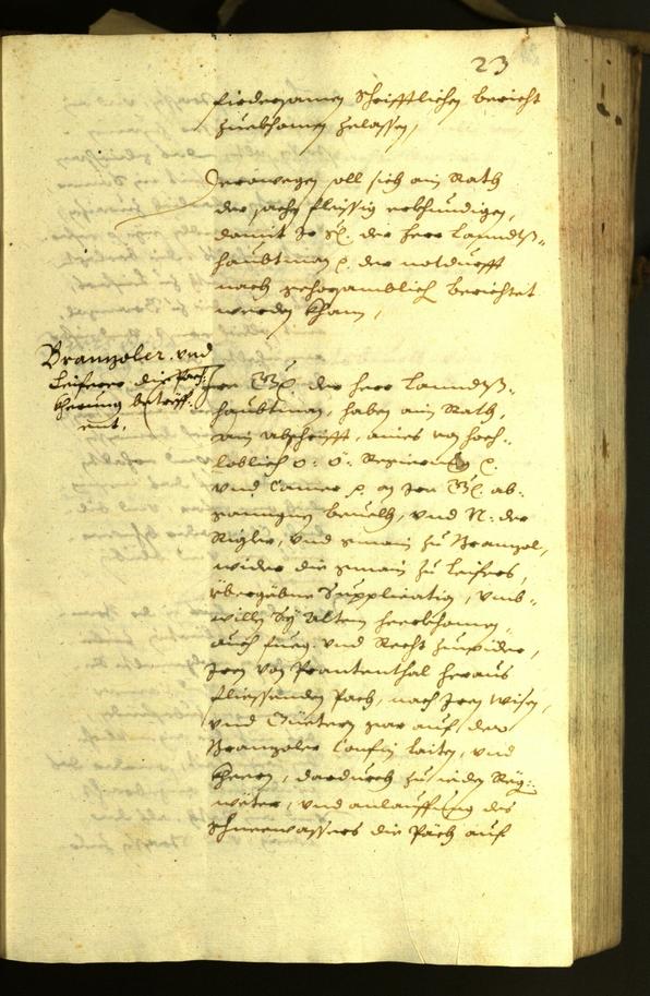 Civic Archives of Bozen-Bolzano - BOhisto Minutes of the council 1630 