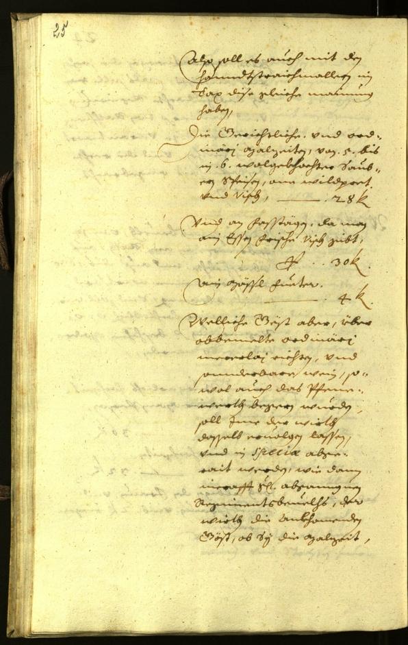 Civic Archives of Bozen-Bolzano - BOhisto Minutes of the council 1630 