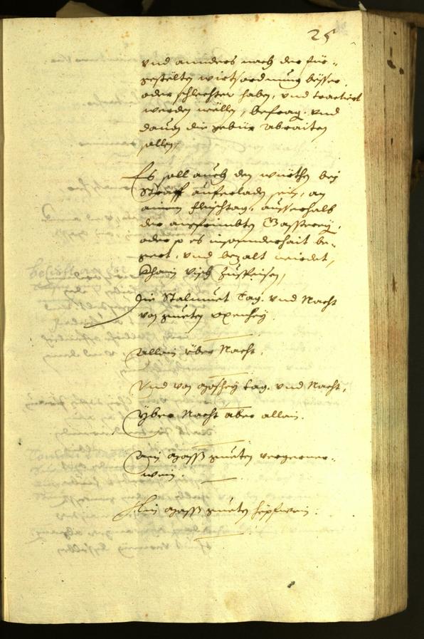 Civic Archives of Bozen-Bolzano - BOhisto Minutes of the council 1630 