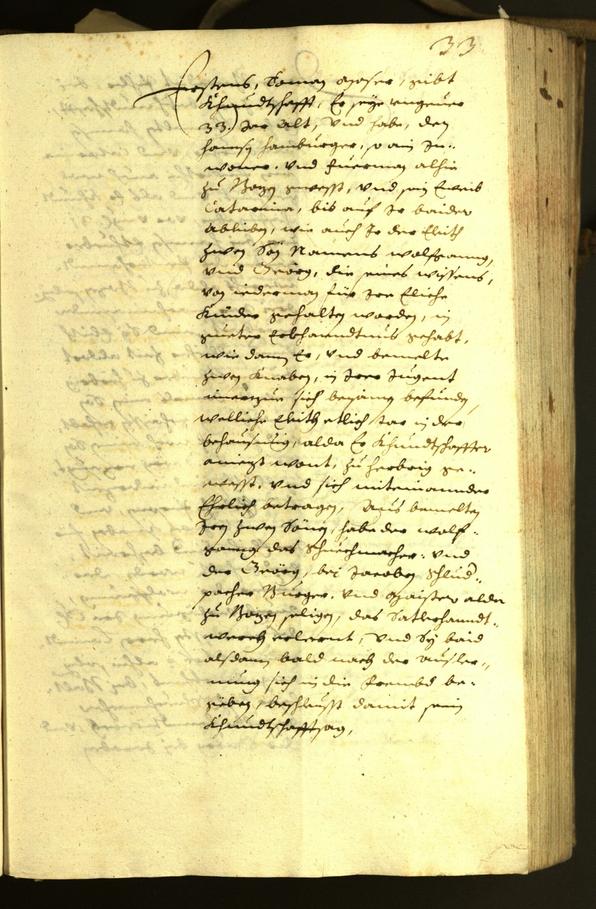 Civic Archives of Bozen-Bolzano - BOhisto Minutes of the council 1630 