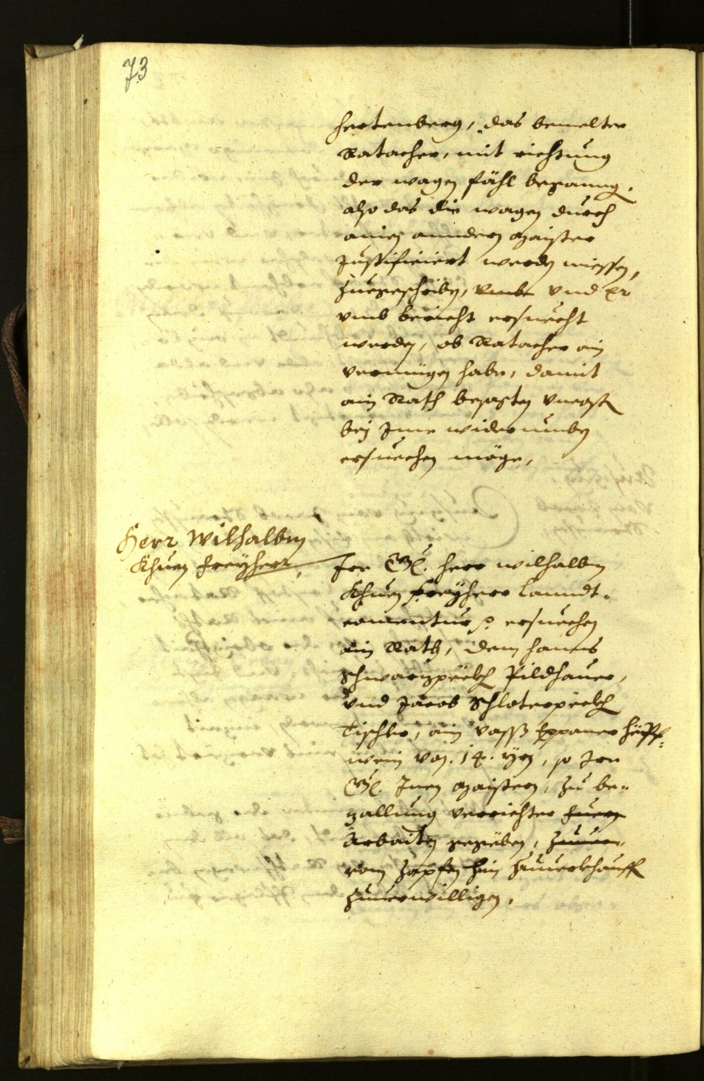 Civic Archives of Bozen-Bolzano - BOhisto Minutes of the council 1630 