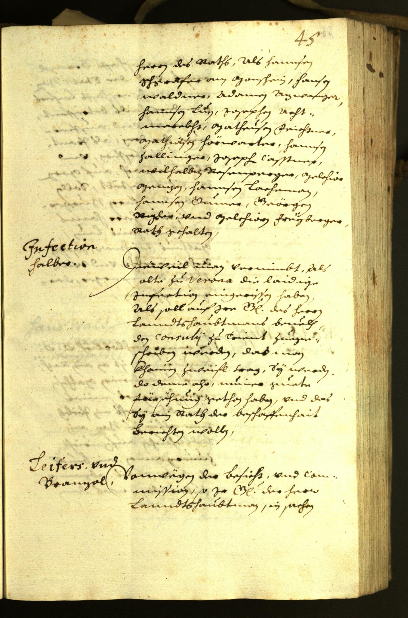 Civic Archives of Bozen-Bolzano - BOhisto Minutes of the council 1630 