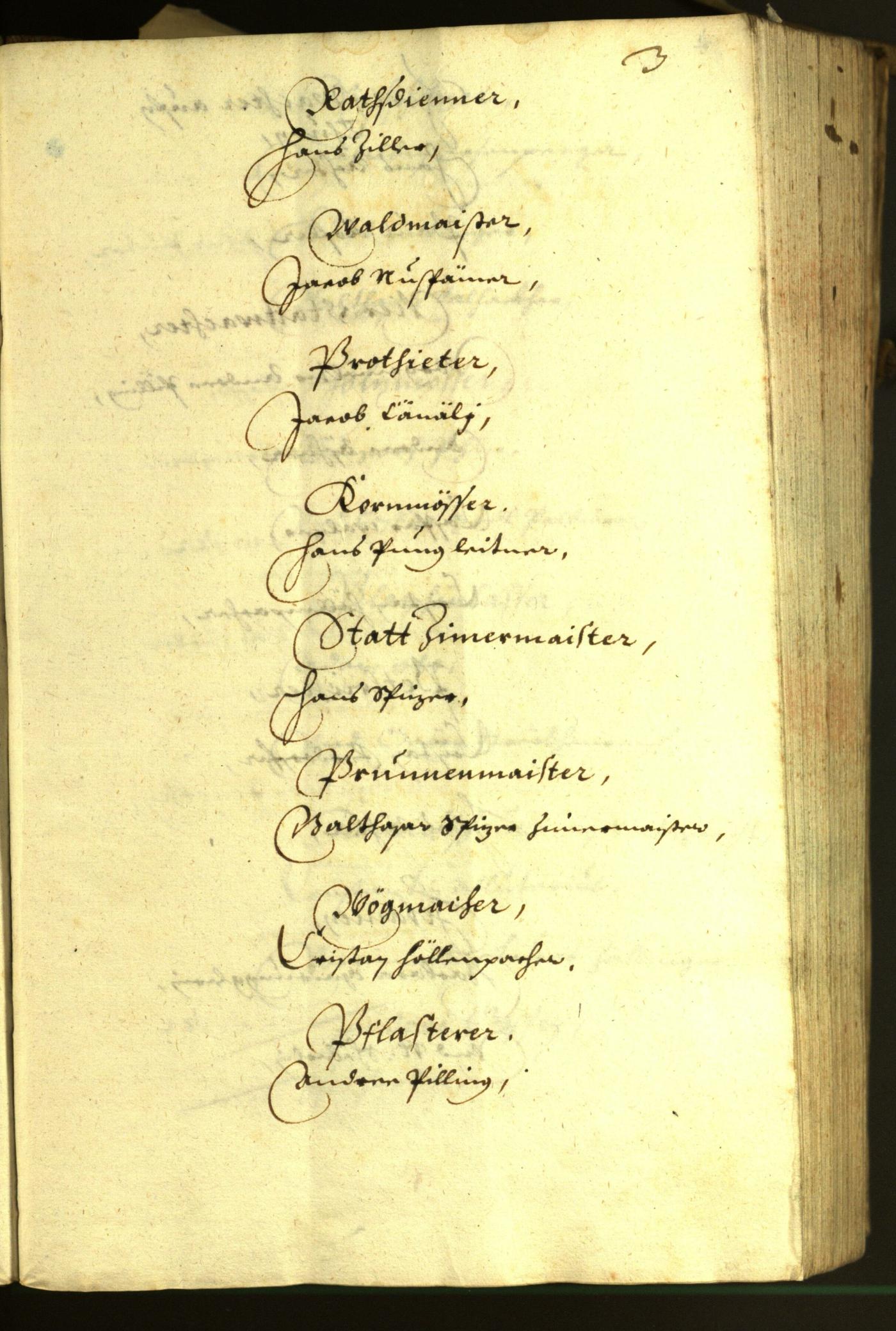 Civic Archives of Bozen-Bolzano - BOhisto Minutes of the council 1630 