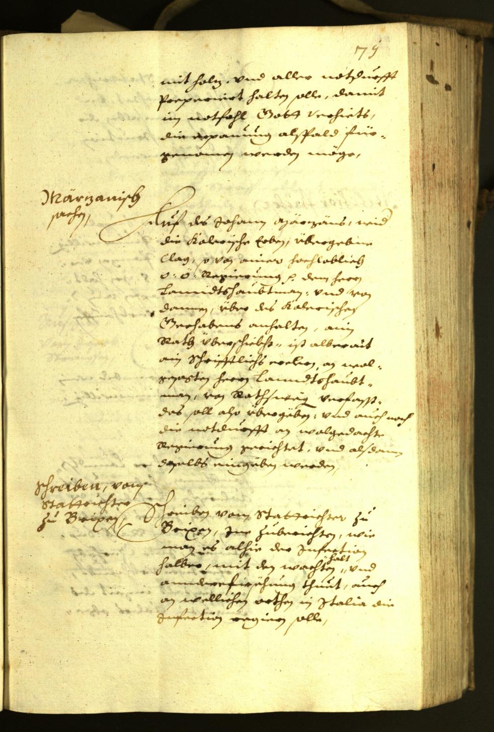 Civic Archives of Bozen-Bolzano - BOhisto Minutes of the council 1630 