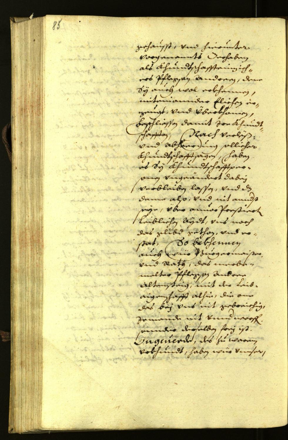 Civic Archives of Bozen-Bolzano - BOhisto Minutes of the council 1630 