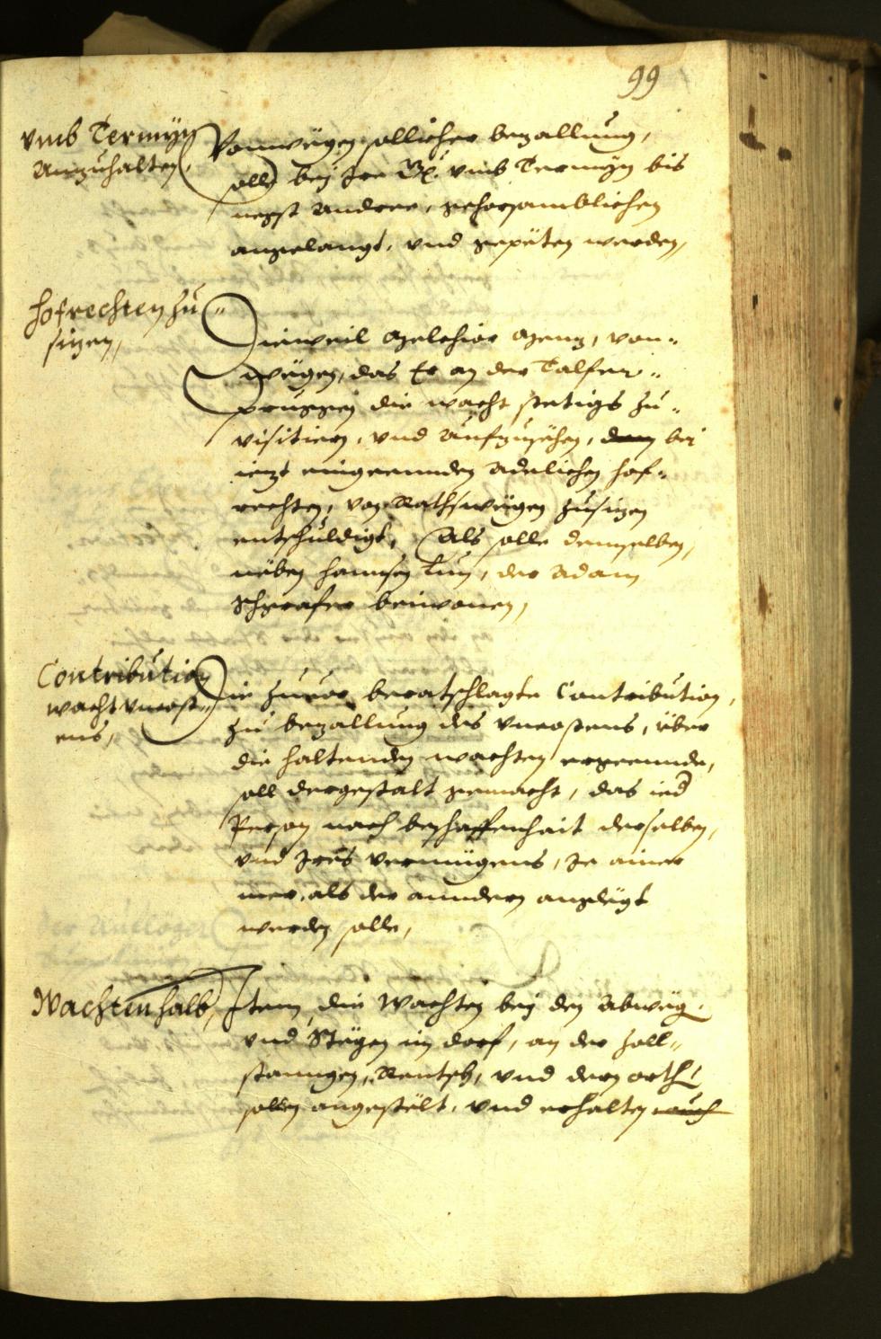 Civic Archives of Bozen-Bolzano - BOhisto Minutes of the council 1630 