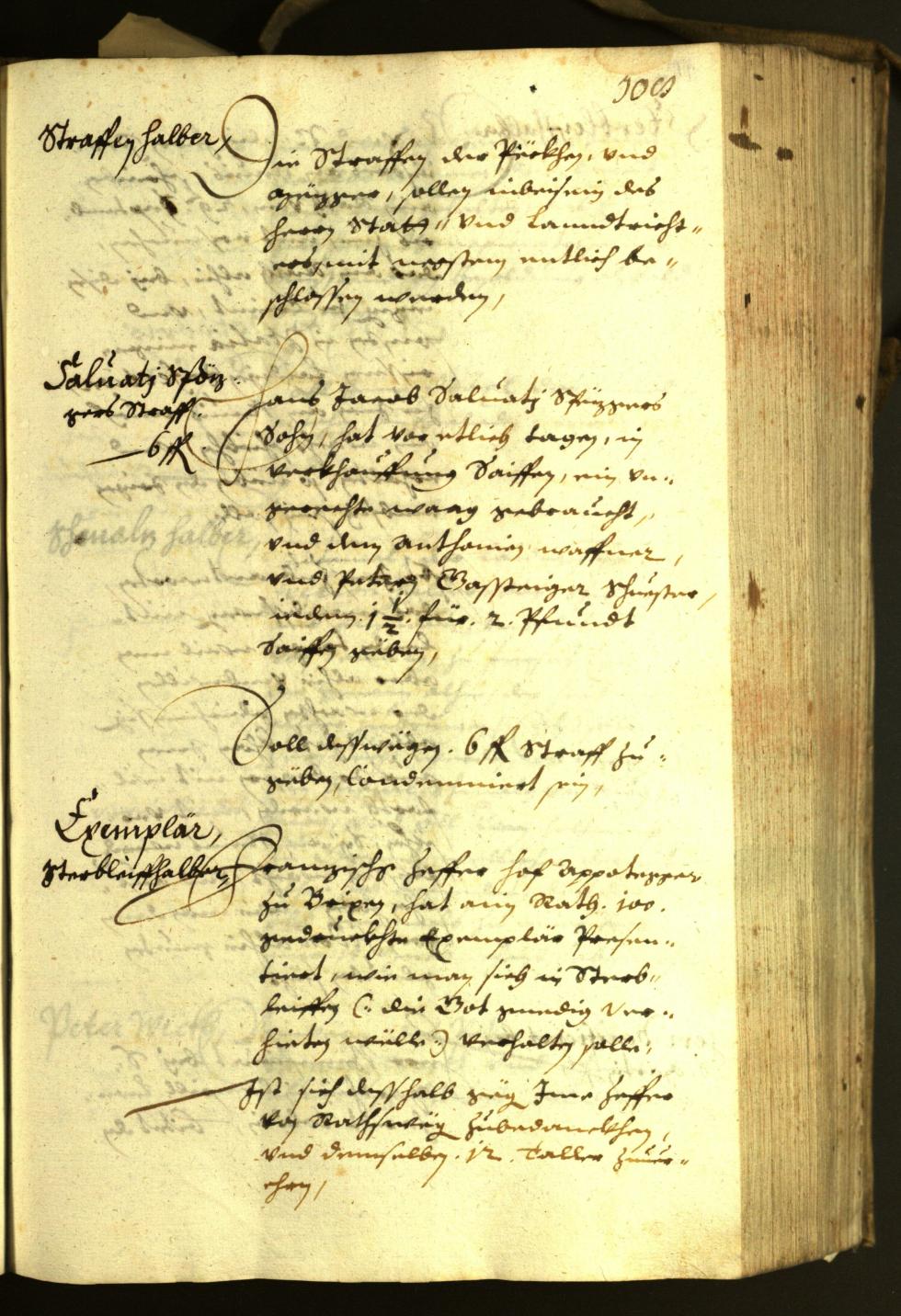 Civic Archives of Bozen-Bolzano - BOhisto Minutes of the council 1630 