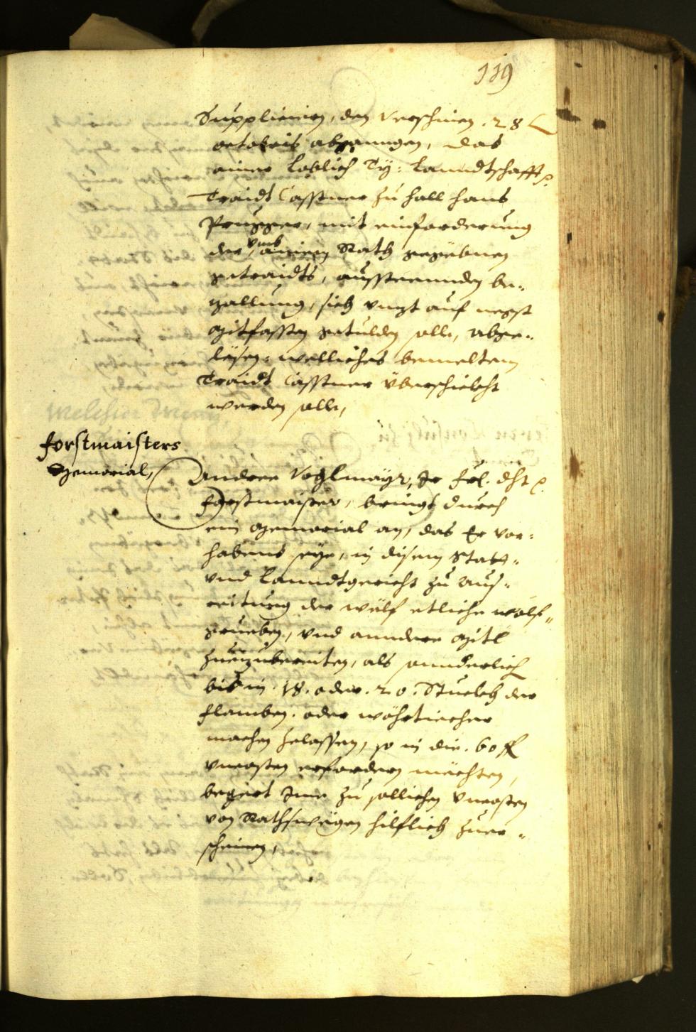 Stadtarchiv Bozen - BOhisto Ratsprotokoll 1630 