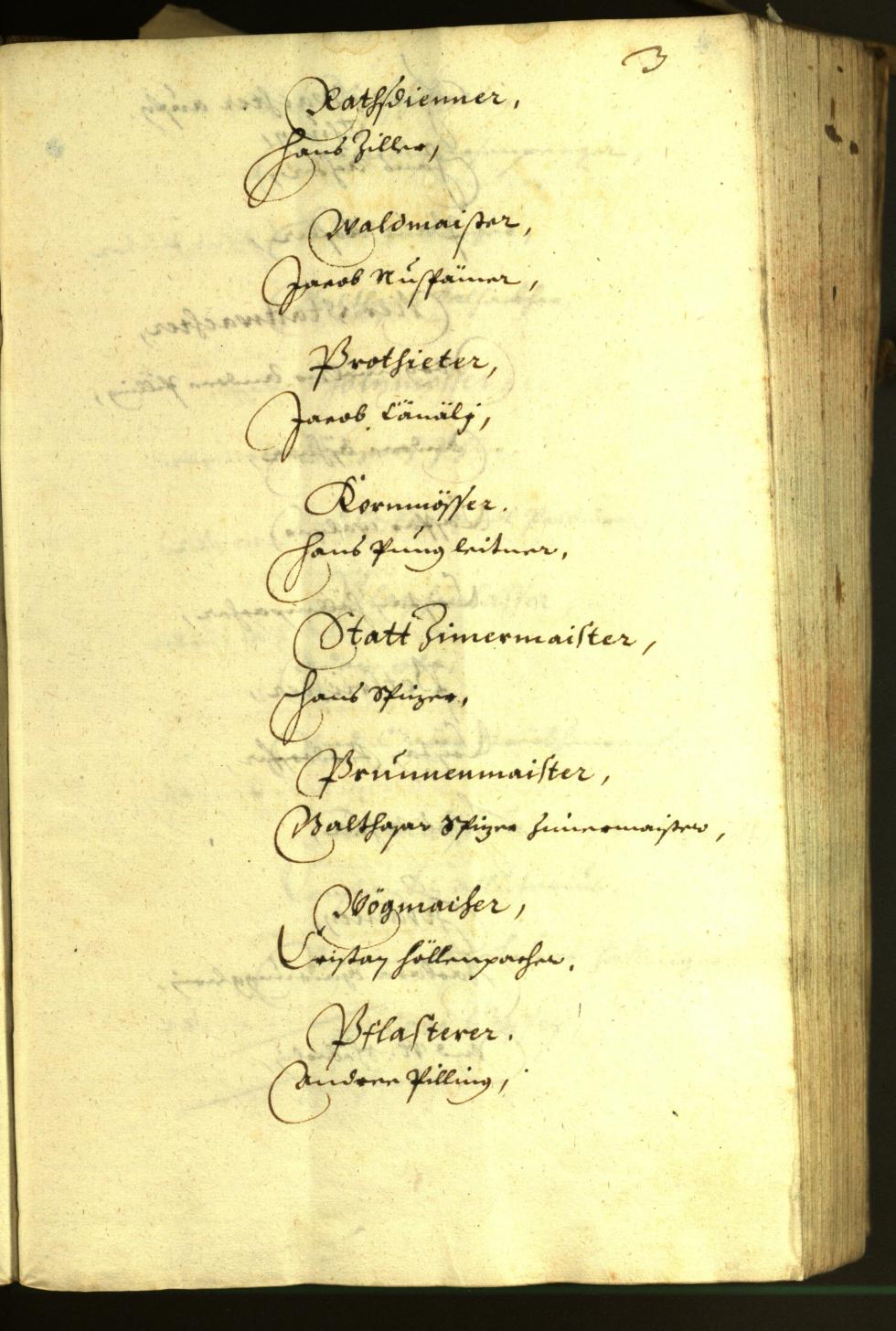 Stadtarchiv Bozen - BOhisto Ratsprotokoll 1630 