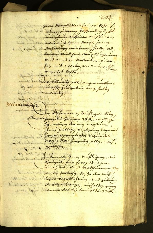 Stadtarchiv Bozen - BOhisto Ratsprotokoll 1631 