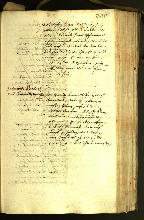 Archivio Storico della Città di Bolzano - BOhisto protocollo consiliare 1631 