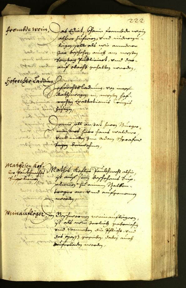 Civic Archives of Bozen-Bolzano - BOhisto Minutes of the council 1631 