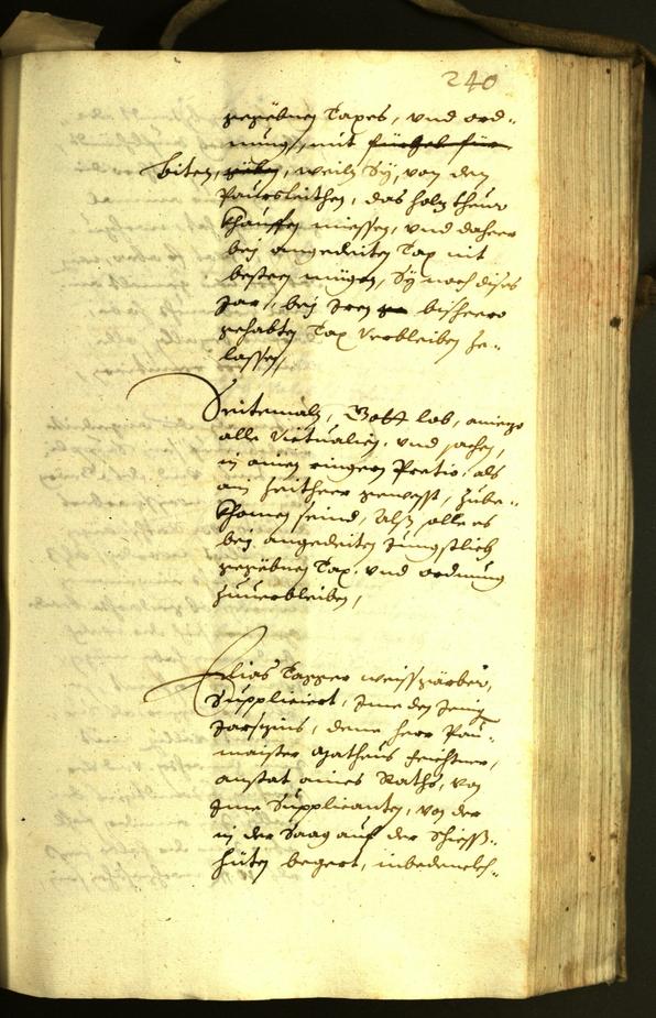 Civic Archives of Bozen-Bolzano - BOhisto Minutes of the council 1631 