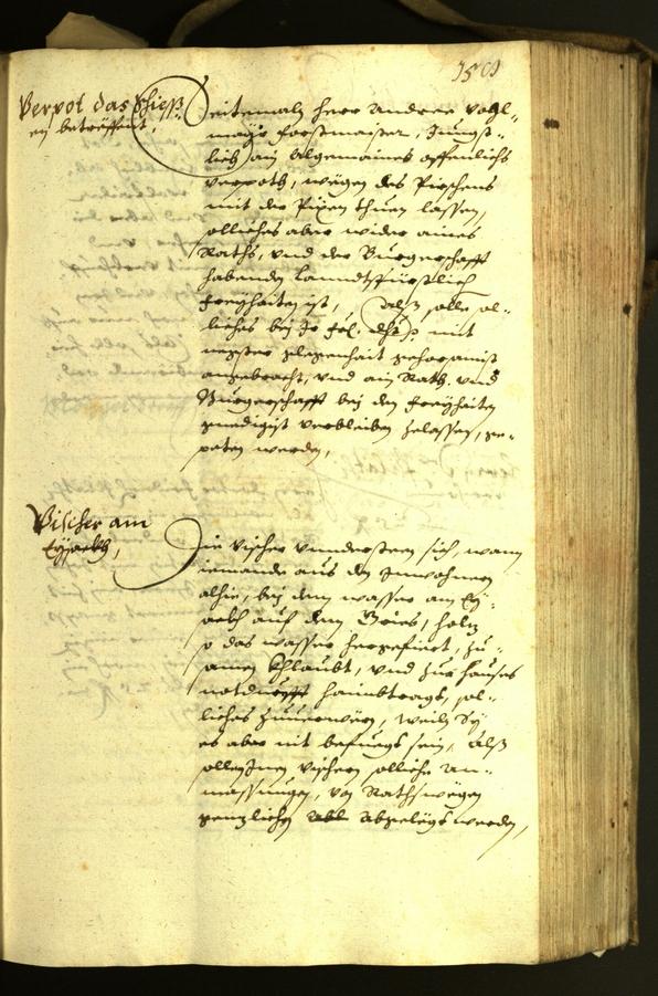 Stadtarchiv Bozen - BOhisto Ratsprotokoll 1631 