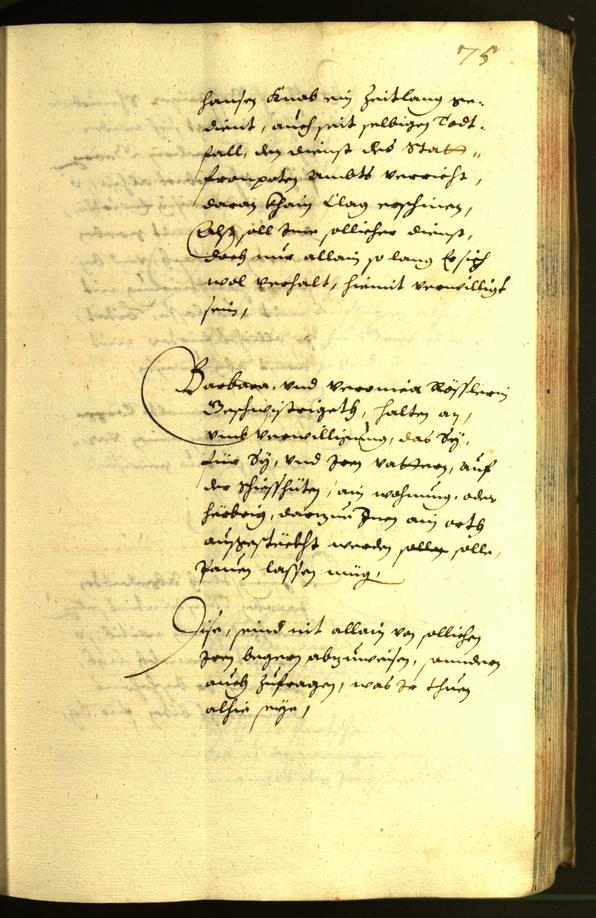 Civic Archives of Bozen-Bolzano - BOhisto Minutes of the council 1632 