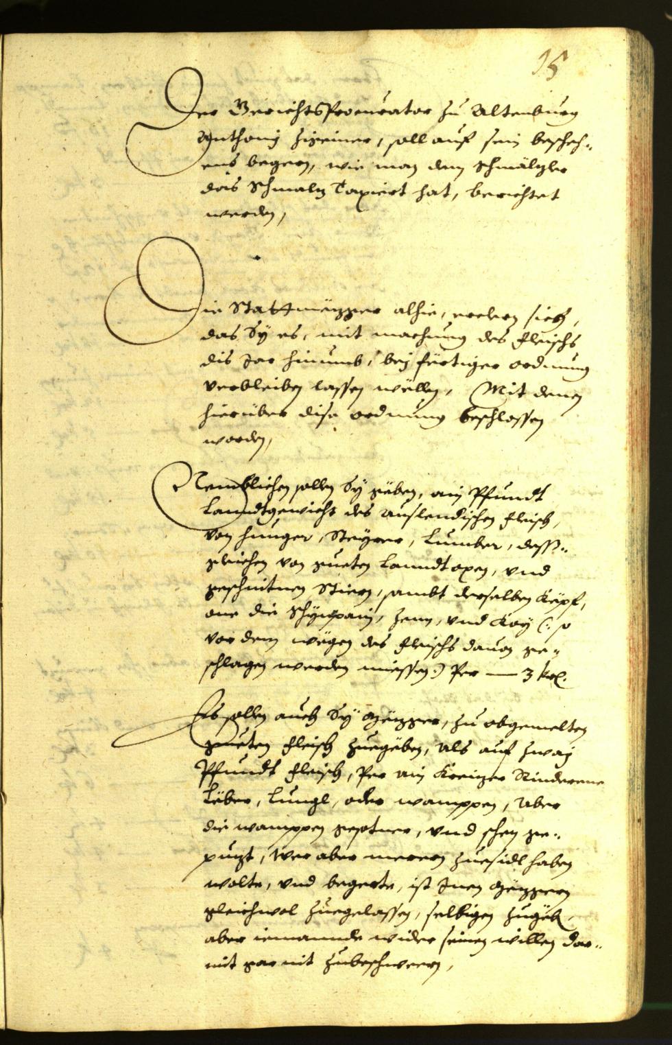 Civic Archives of Bozen-Bolzano - BOhisto Minutes of the council 1632 