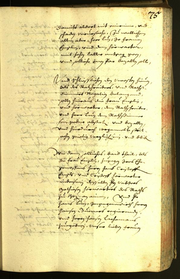 Civic Archives of Bozen-Bolzano - BOhisto Minutes of the council 1634 