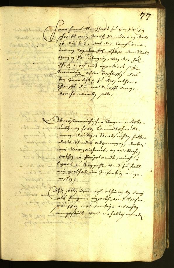 Civic Archives of Bozen-Bolzano - BOhisto Minutes of the council 1634 