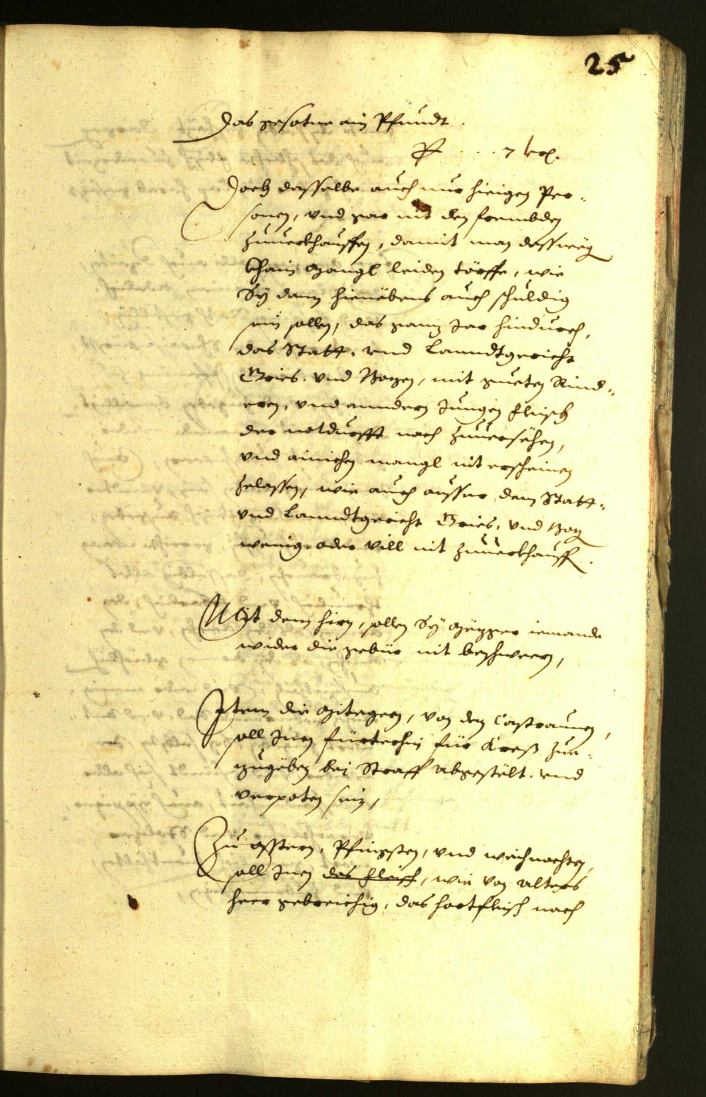 Civic Archives of Bozen-Bolzano - BOhisto Minutes of the council 1634 