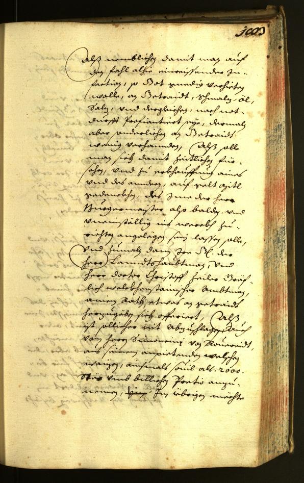 Civic Archives of Bozen-Bolzano - BOhisto Minutes of the council 1635 