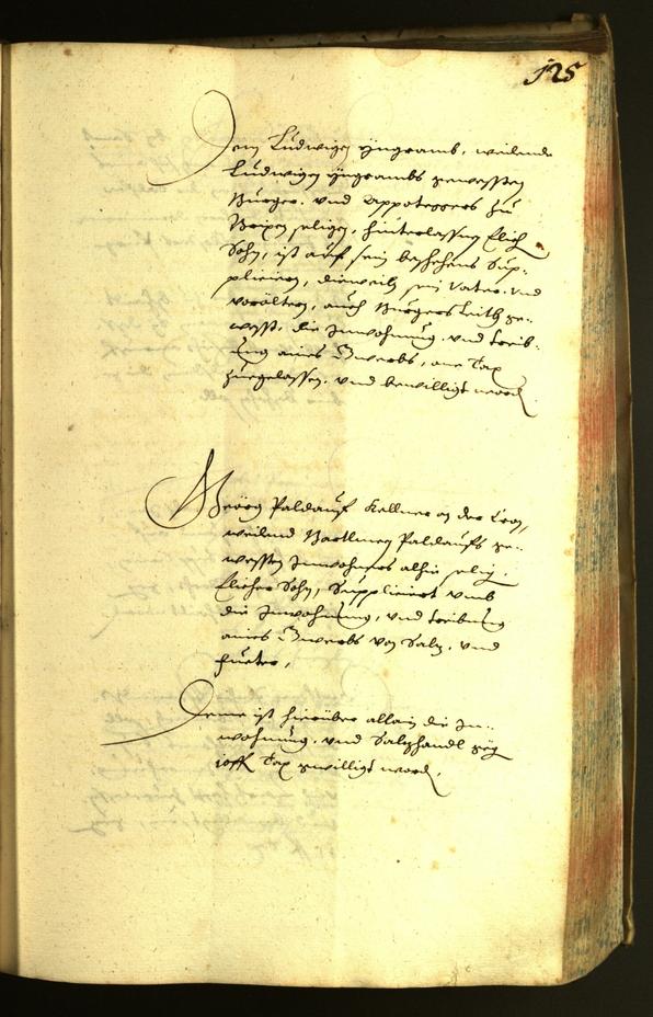 Civic Archives of Bozen-Bolzano - BOhisto Minutes of the council 1635 