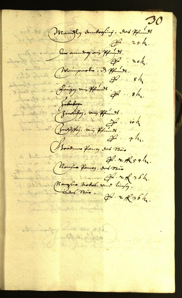 Civic Archives of Bozen-Bolzano - BOhisto Minutes of the council 1636 