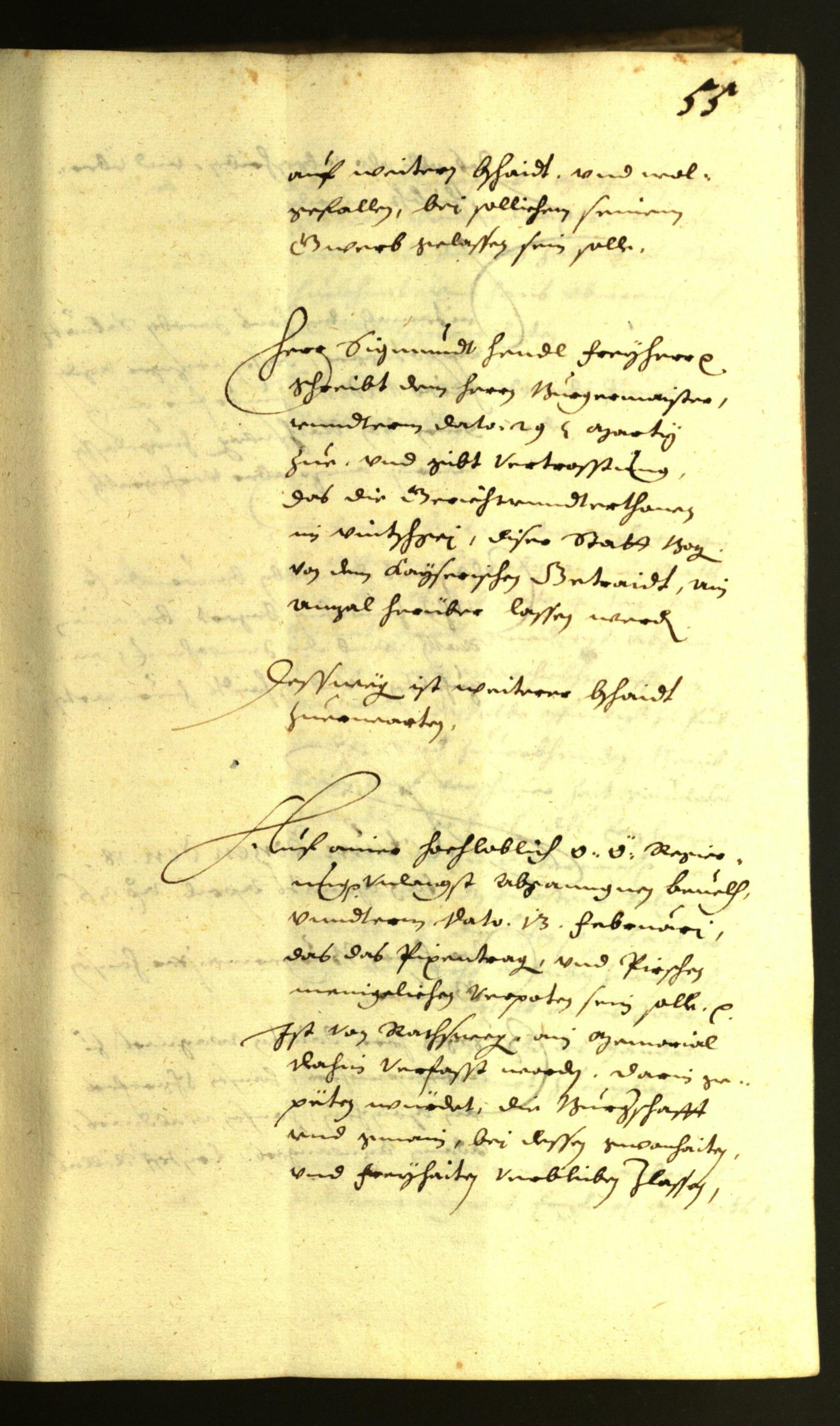 Civic Archives of Bozen-Bolzano - BOhisto Minutes of the council 1636 