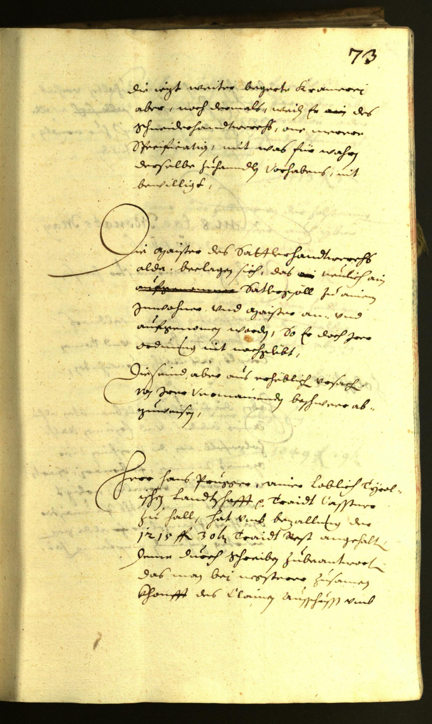 Civic Archives of Bozen-Bolzano - BOhisto Minutes of the council 1636 