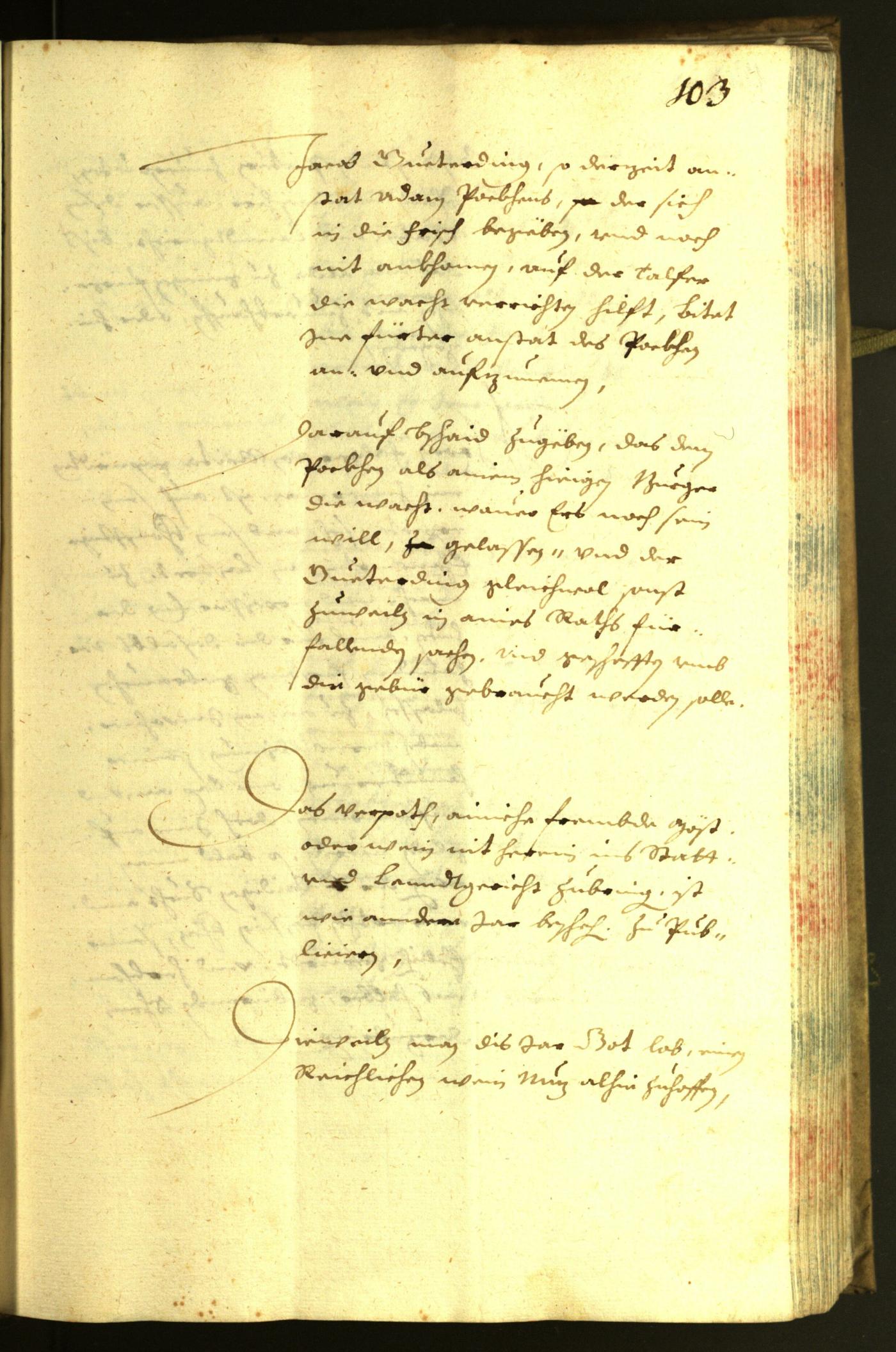 Civic Archives of Bozen-Bolzano - BOhisto Minutes of the council 1636 