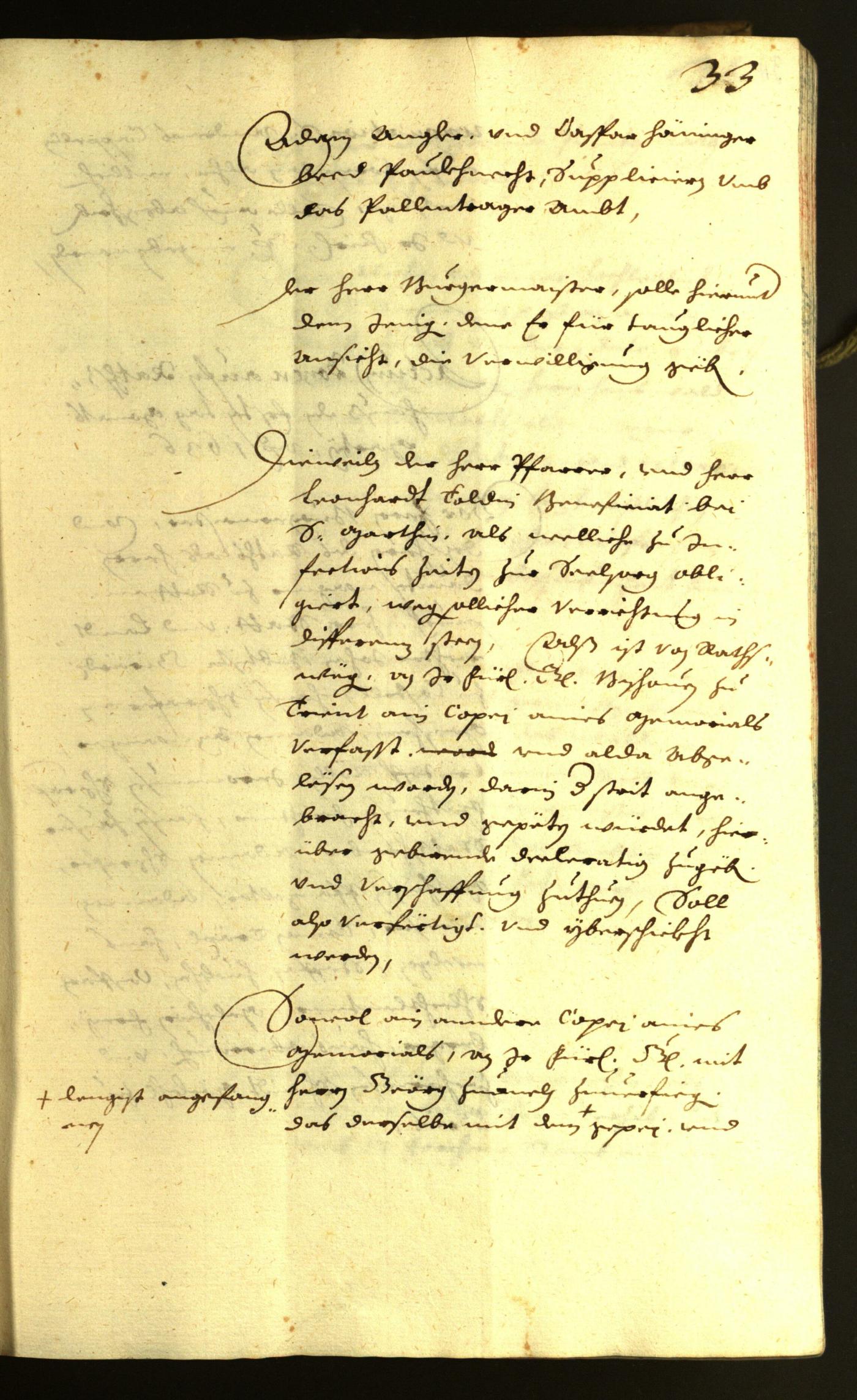 Civic Archives of Bozen-Bolzano - BOhisto Minutes of the council 1636 