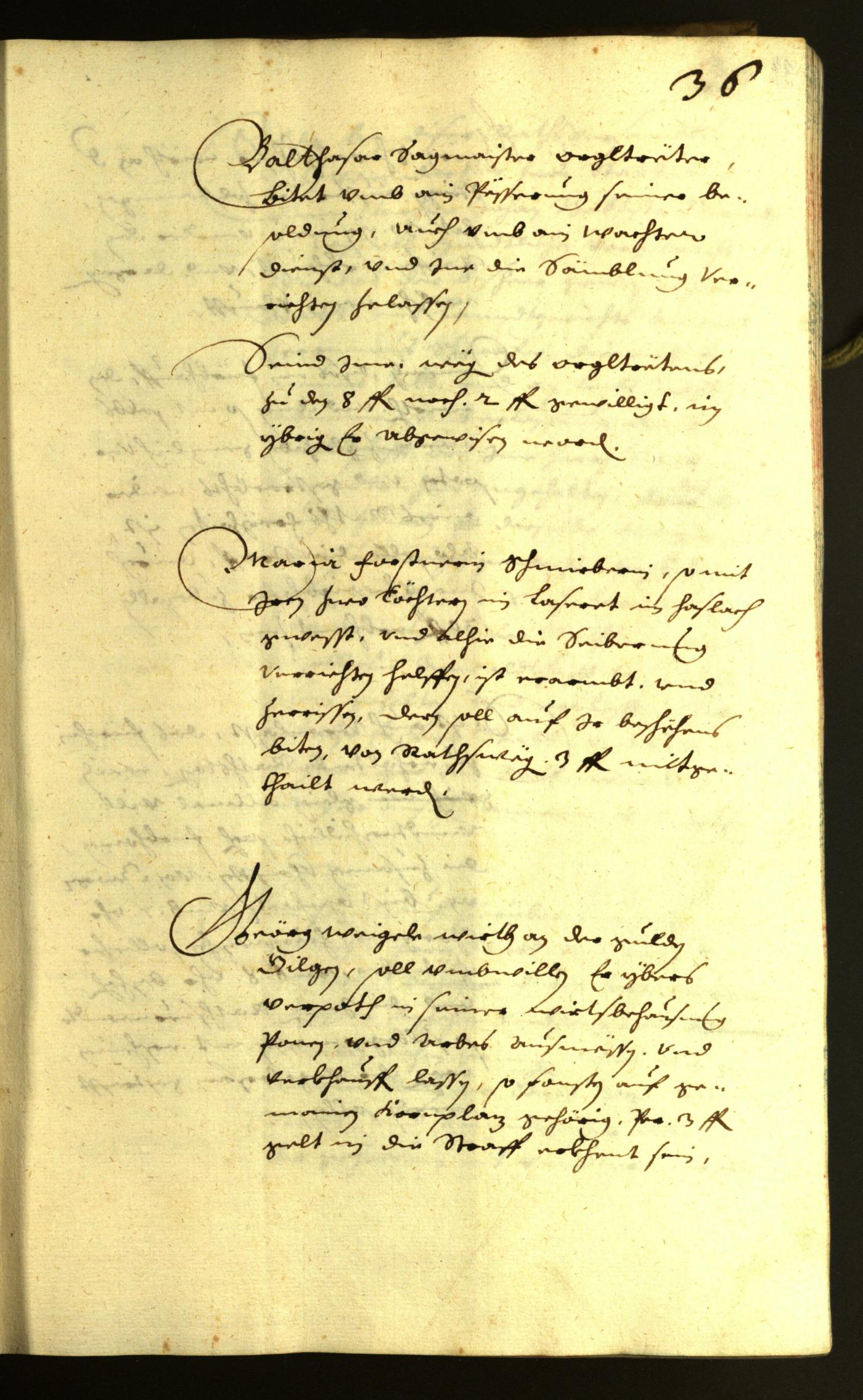 Civic Archives of Bozen-Bolzano - BOhisto Minutes of the council 1636 