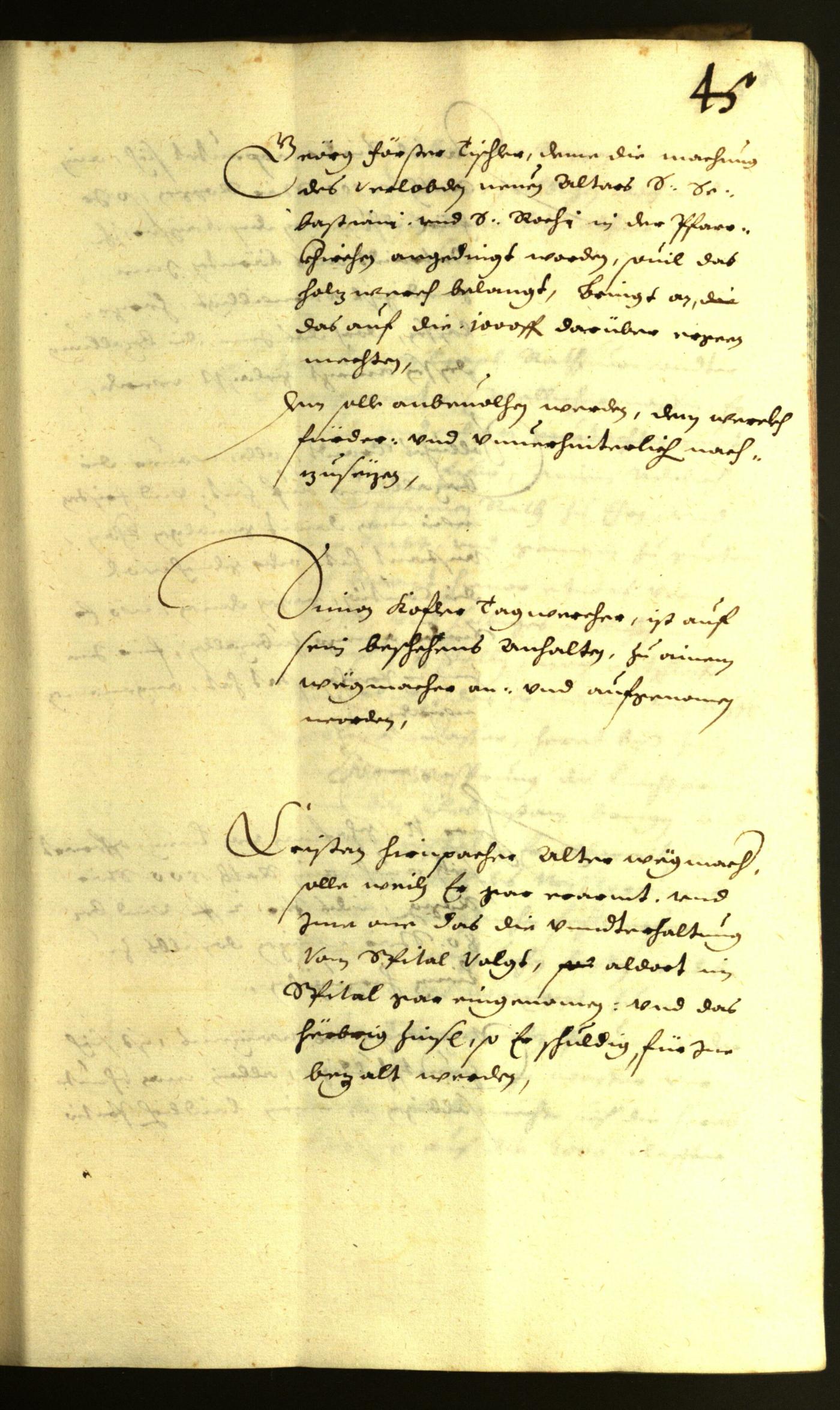 Civic Archives of Bozen-Bolzano - BOhisto Minutes of the council 1636 