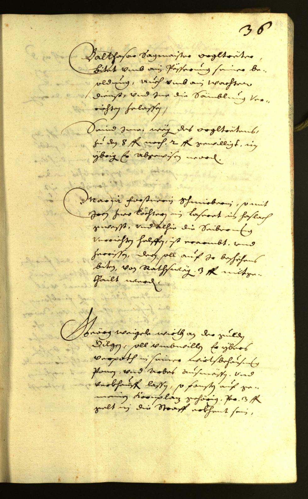 Civic Archives of Bozen-Bolzano - BOhisto Minutes of the council 1636 