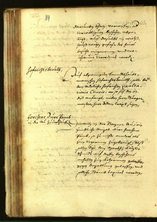 Civic Archives of Bozen-Bolzano - BOhisto Minutes of the council 1638 