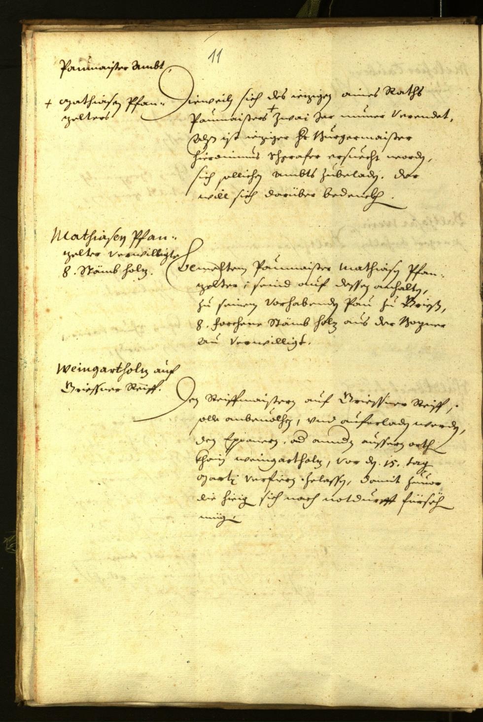 Civic Archives of Bozen-Bolzano - BOhisto Minutes of the council 1638 