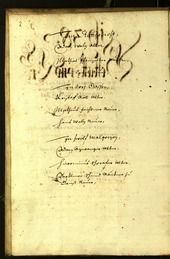 Civic Archives of Bozen-Bolzano - BOhisto Minutes of the council 1638 - 