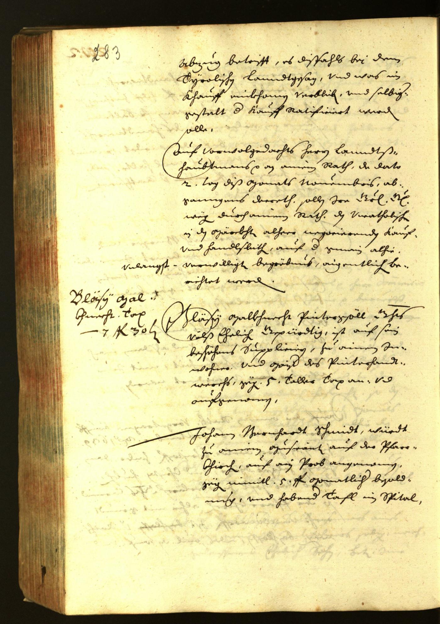 Civic Archives of Bozen-Bolzano - BOhisto Minutes of the council 1639 