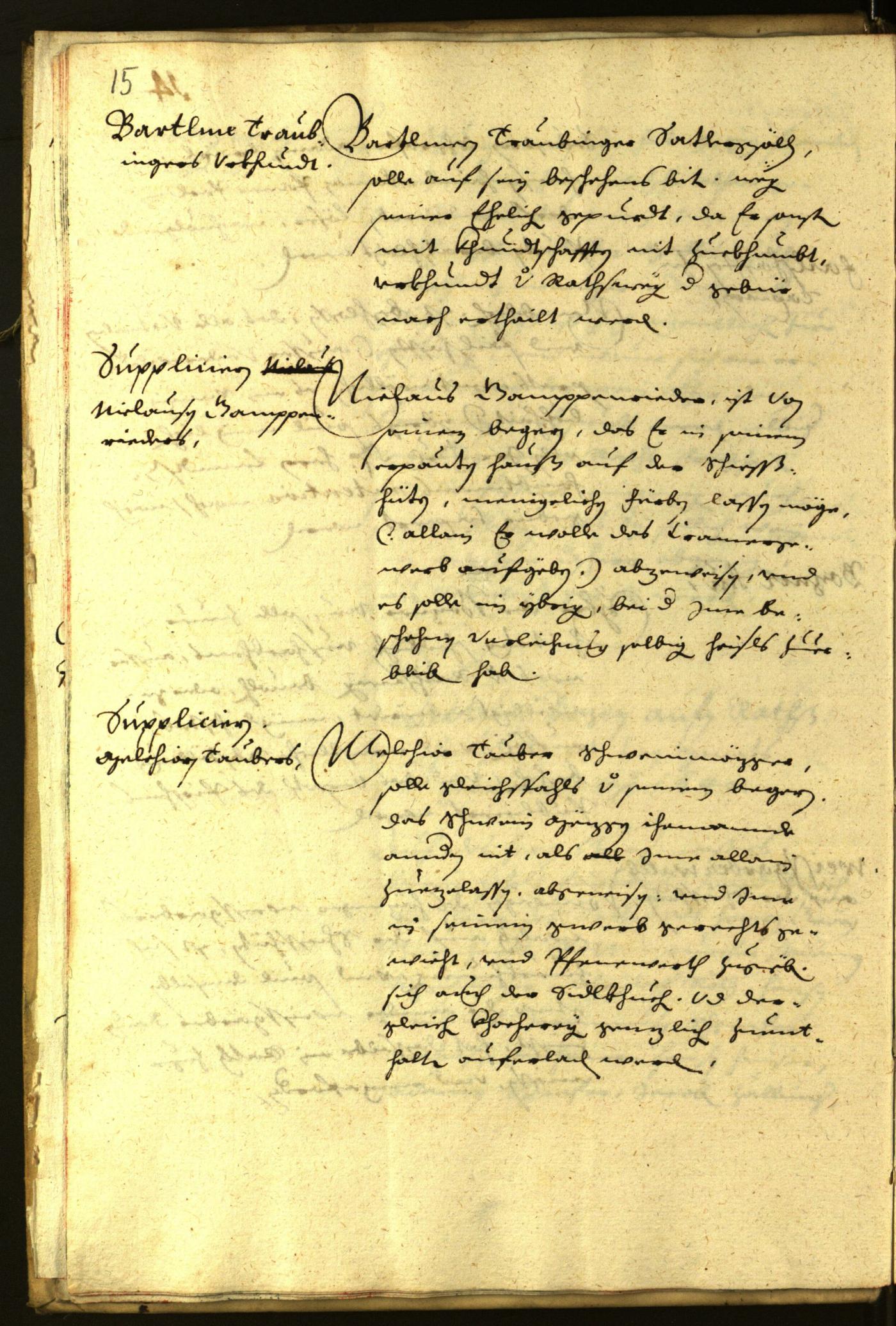 Civic Archives of Bozen-Bolzano - BOhisto Minutes of the council 1640 