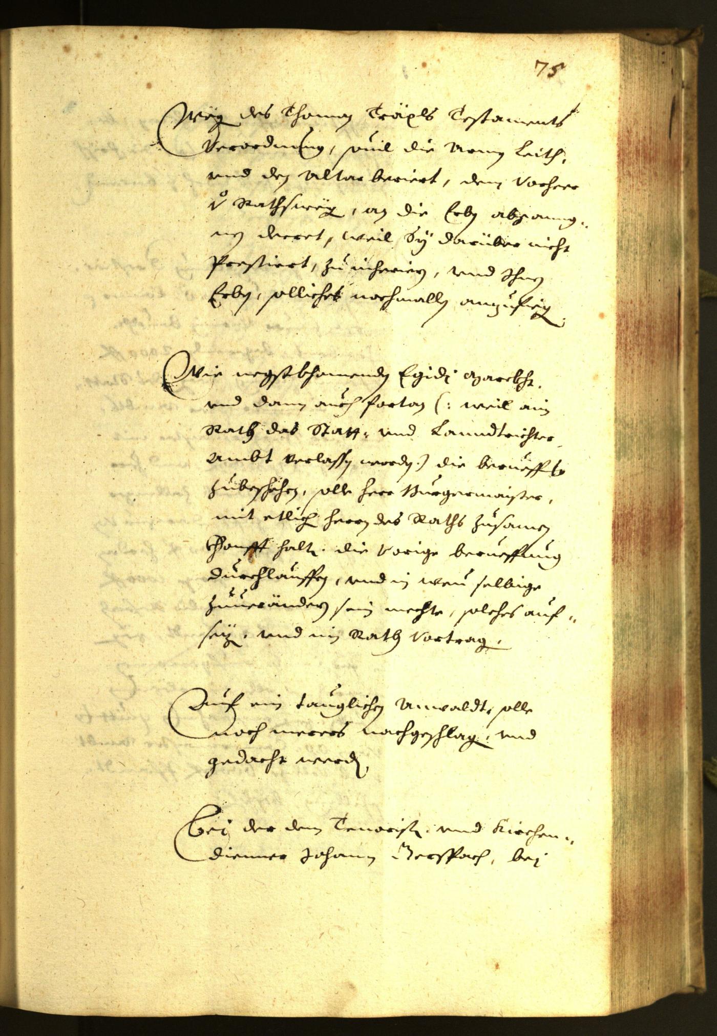 Civic Archives of Bozen-Bolzano - BOhisto Minutes of the council 1643 