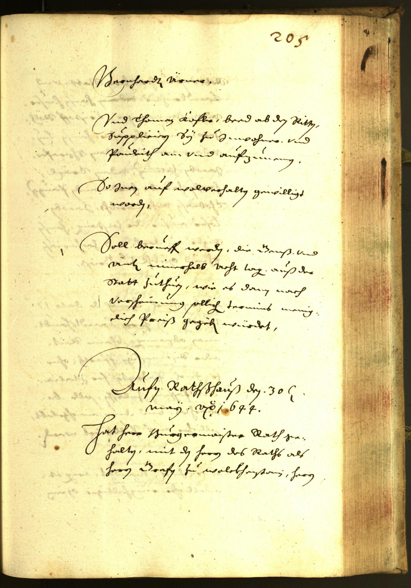 Civic Archives of Bozen-Bolzano - BOhisto Minutes of the council 1644 