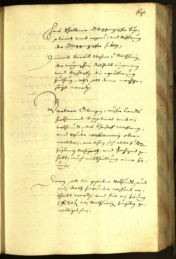 Civic Archives of Bozen-Bolzano - BOhisto Minutes of the council 1645 