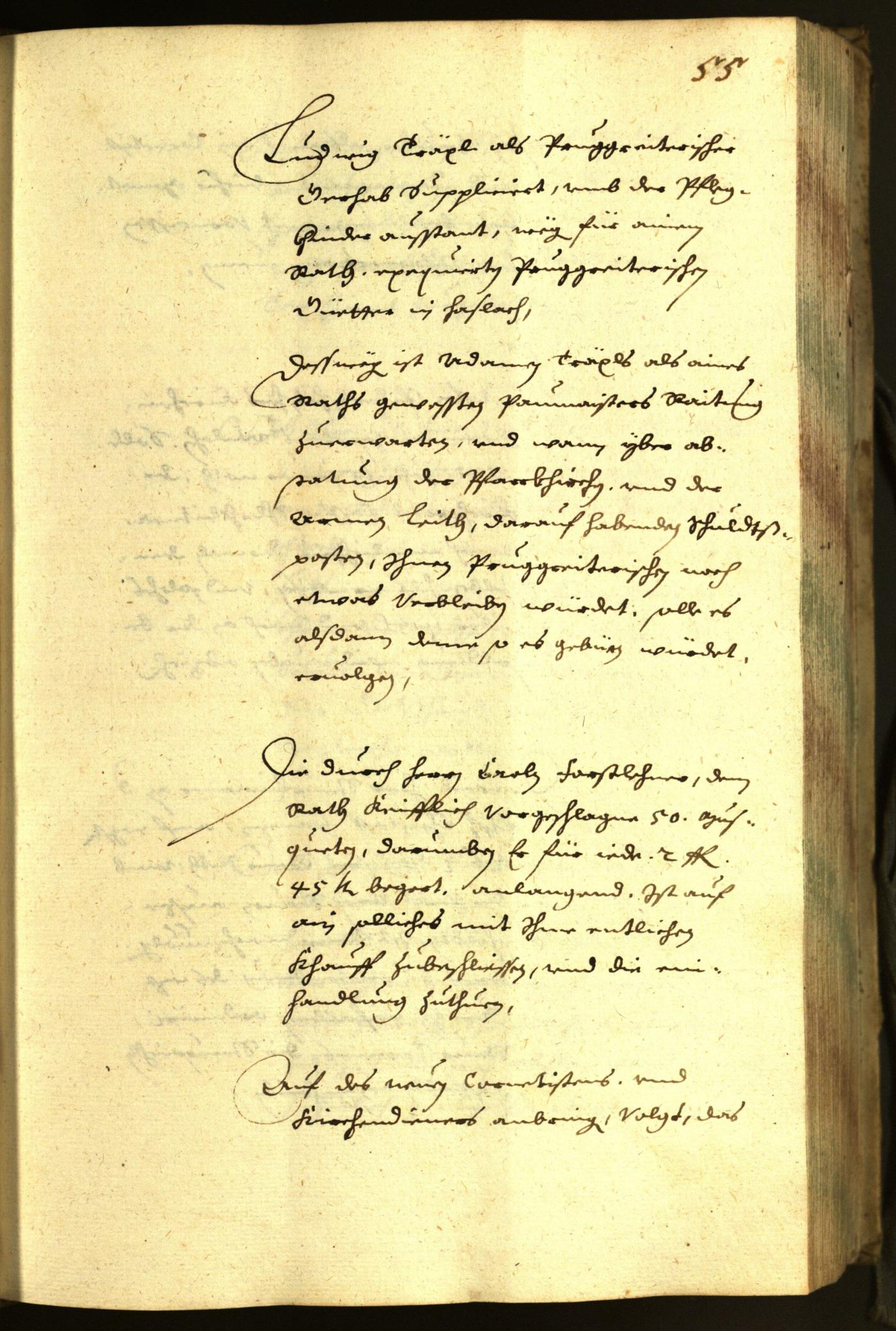 Civic Archives of Bozen-Bolzano - BOhisto Minutes of the council 1645 